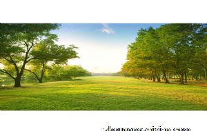 2022年属蛇适合结婚吗 属蛇人在这一年里婚姻运旺吗