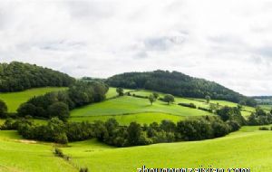 生肖蛇2022年不可错过的贵人 贵人运分析