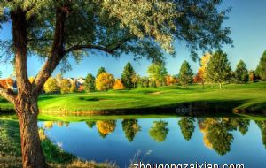 属蛇的幸运色是什么颜色2022年 穿什么颜色好