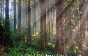 生肖蛇2021年下半年运势大全 工作发展顺利么