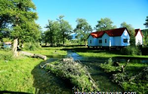 属龙的人2021年下半年运势及运程 伤官生财财运亨通