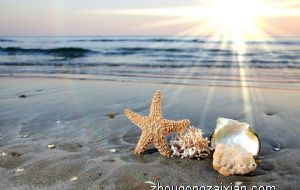 属狗的命最苦是哪一个月 正月狗事业发展艰难