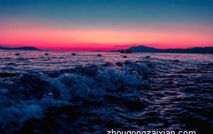 属狗几月出生最好命运 腊月属狗人一生富贵双全