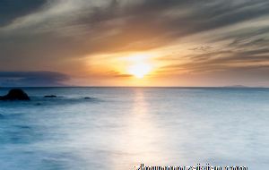 2022特别顺利幸福生肖女 属鼠属羊和属鸡