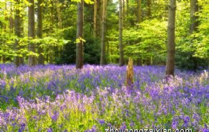 属马在2021年下半年运势分析 贵人相助逢凶化吉