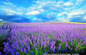 属马的最怕的三个生肖 和哪个生肖相冲