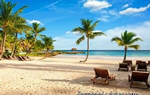 桃花入命 2022追求者多的生肖女