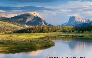 运拙时乖 2022年桃花最差的生肖女