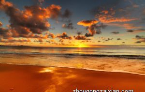 属虎的女人几月是饿虎 六月虎一生不顺