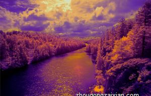 2022年在5月份桃花运最旺生肖 属相马荣登榜首