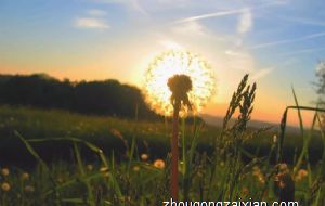 2022年属兔的衣服幸运色是什么 桔黄色助推事业发展