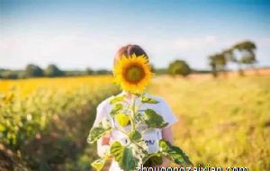 属马2021年不宜去的地方 今年适合换工作吗