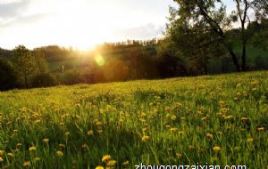 属蛇人2021下半年运势运程 升职加薪收入丰厚