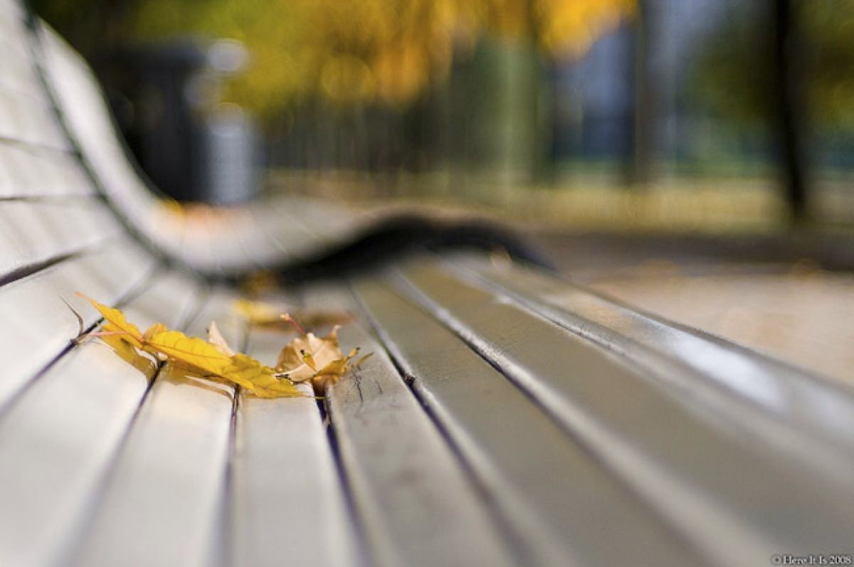 属鼠的人遇到哪些属相会好运或倒霉