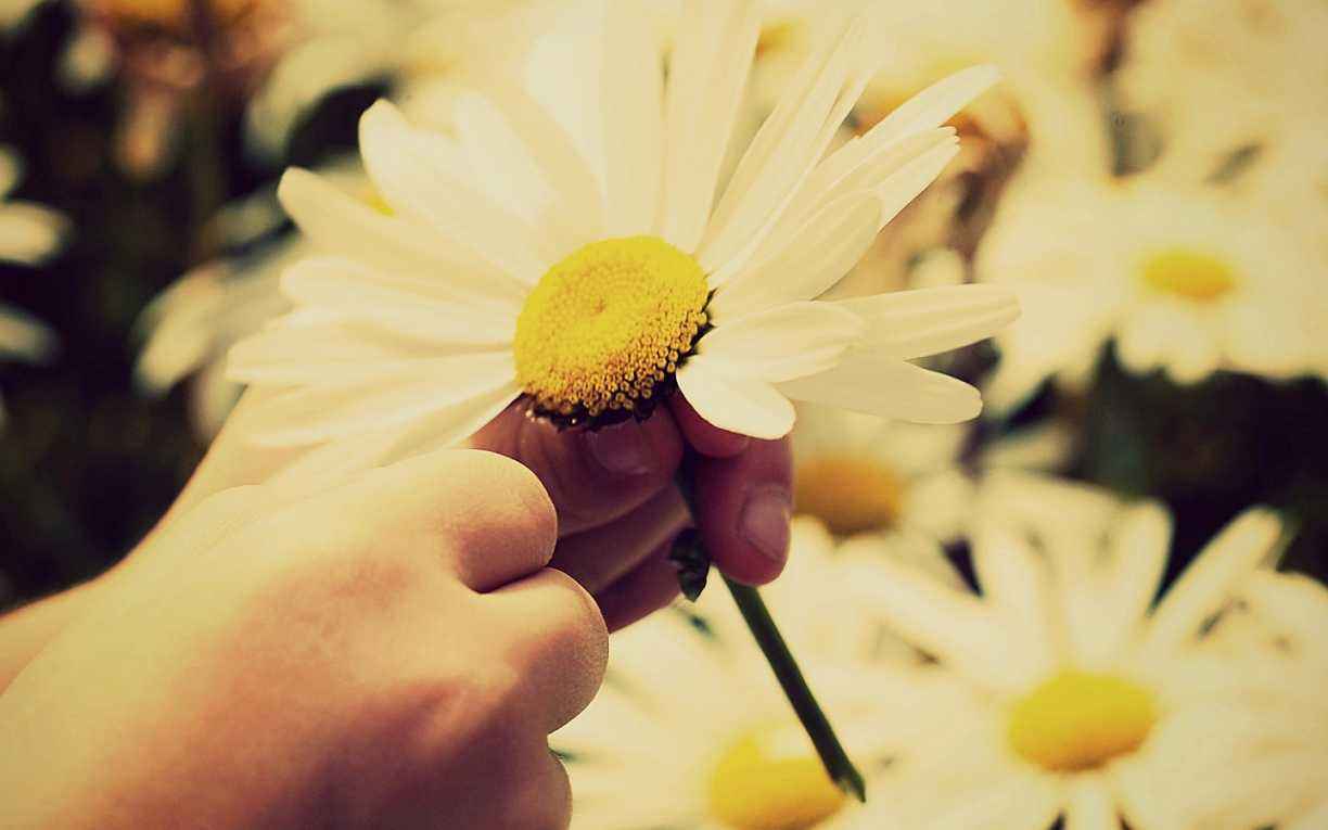 2021犯太岁的4大生肖 要谨慎的那些事