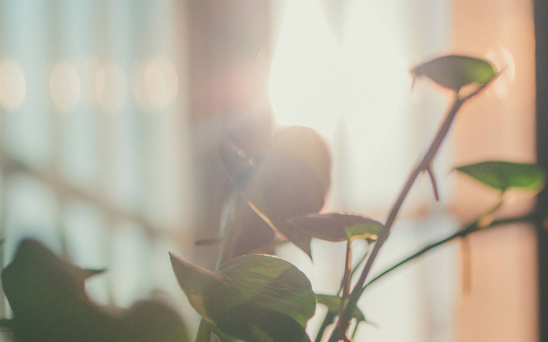 2021年那些财运旺盛、福气满满的生肖