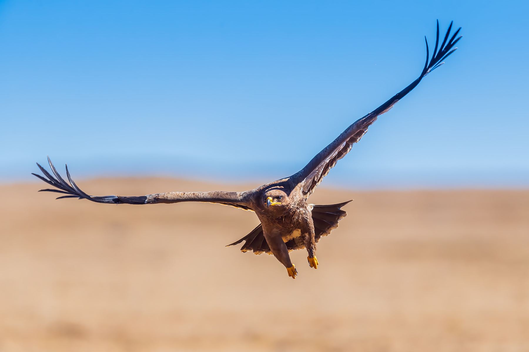 2021最适合创业的生肖都有谁