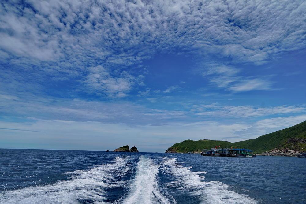 2022年属马过年打牌财神方位 春节哪天财运好