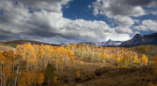 属蛇的2022年是不是犯太岁 刑太岁下凶星齐犯影响整年运势