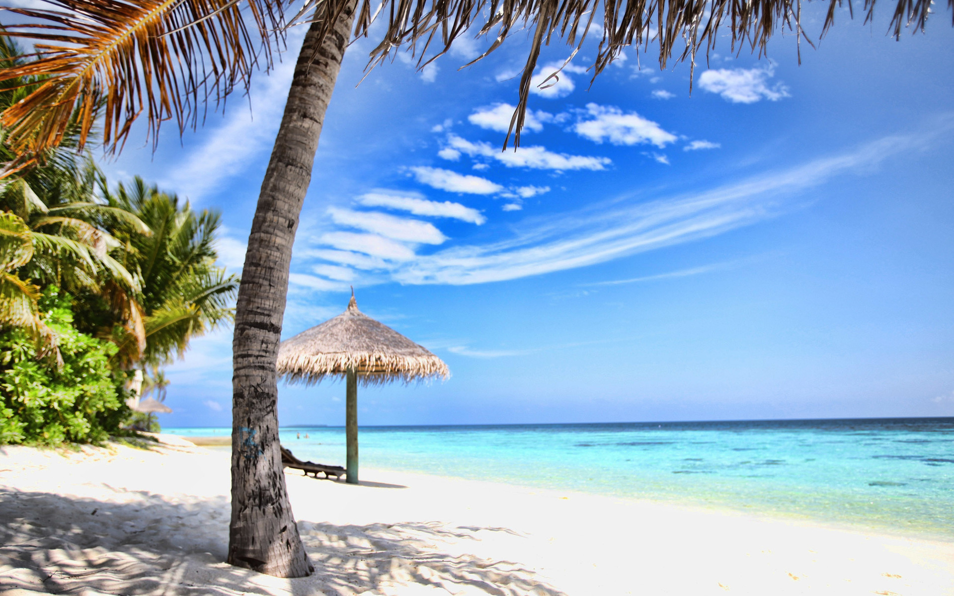 几月份的老鼠最有福气 九月鼠一生顺风顺水