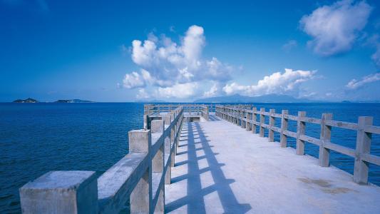 2021年12月生肖牛的财运怎么样 财运表现不好