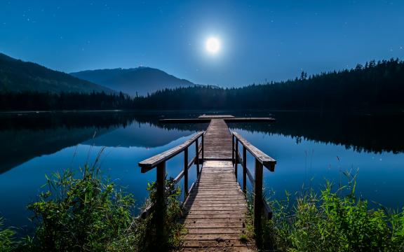 2021年12月生肖蛇的事业运势怎么样 有望升职加薪