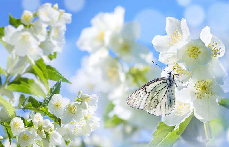 2021年12月生肖蛇的财运怎么样 运势一路高升