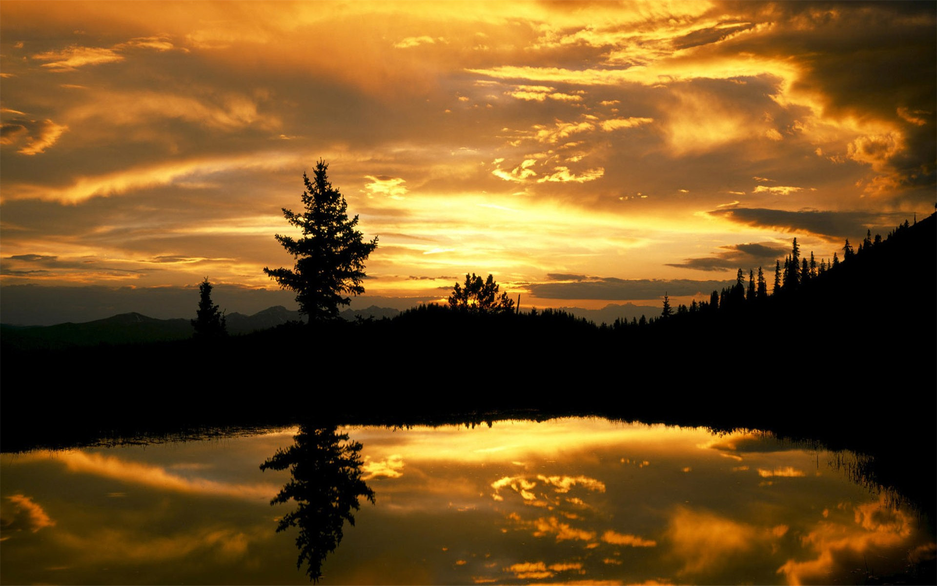 十二生肖最没有福气的生肖 成熟稳重的属牛人