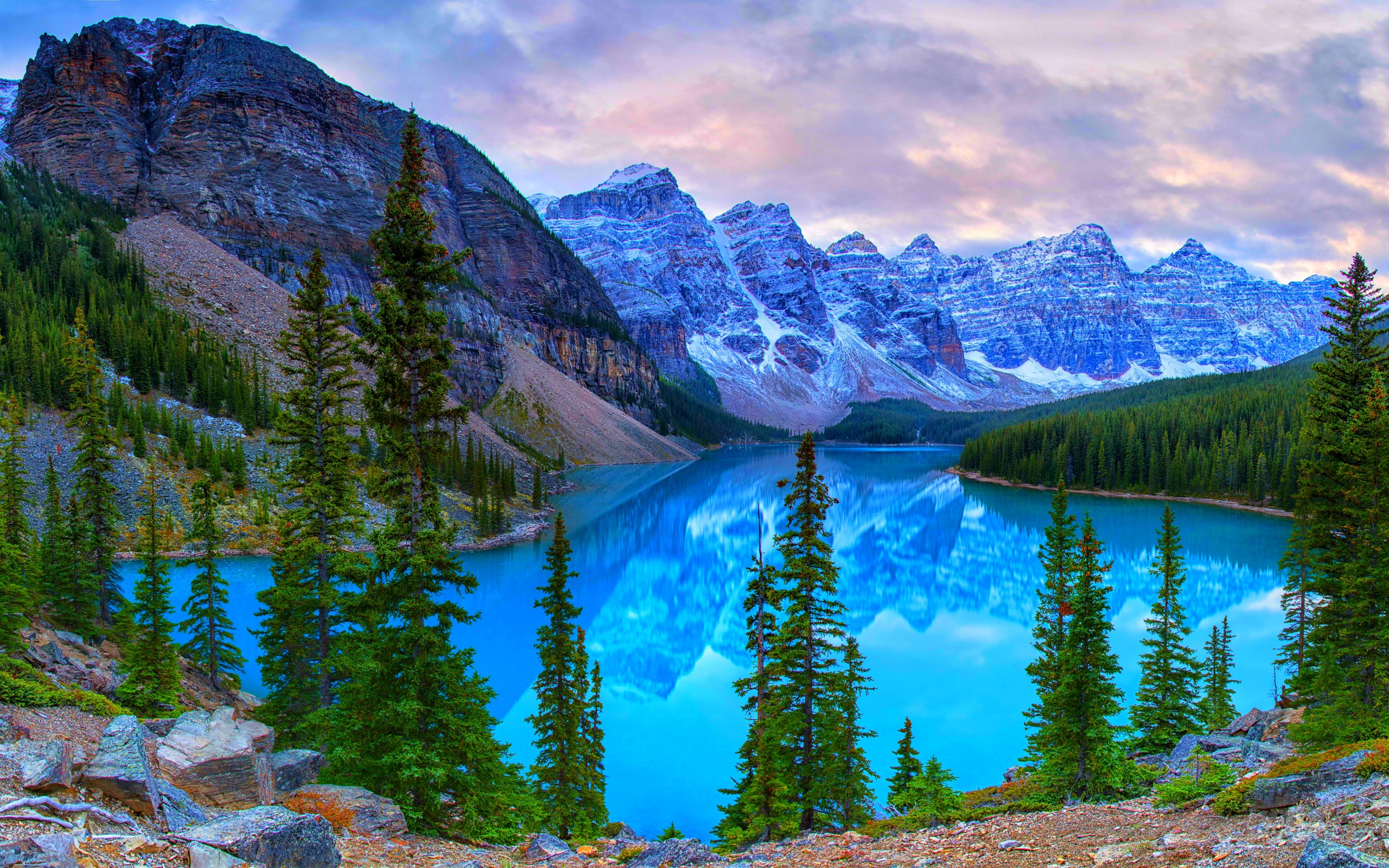 吸引力很强的生肖女是谁 为人低调内敛的属鼠女