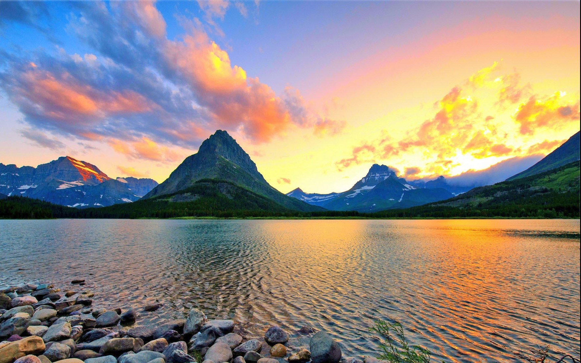 最深情最念旧的生肖 讲义气重感情的生肖虎