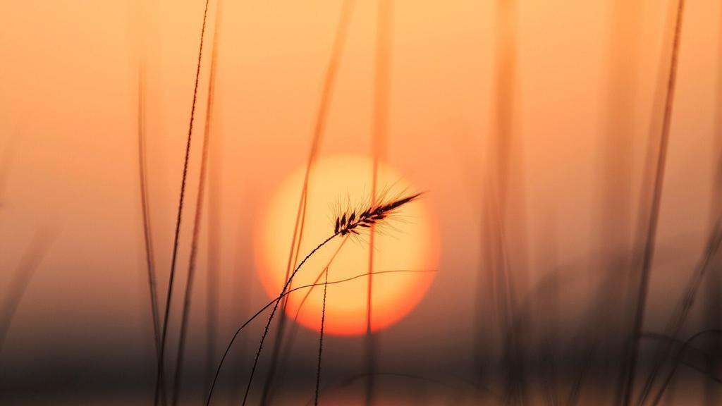 2022年虎年运势好的生肖 天喜星入命喜气临门