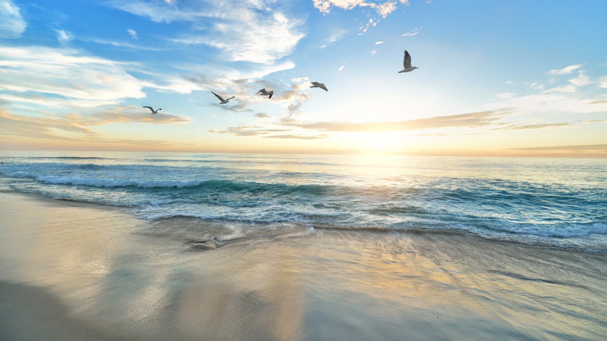 大富大贵的三大生肖女人 独立善良的生肖龙