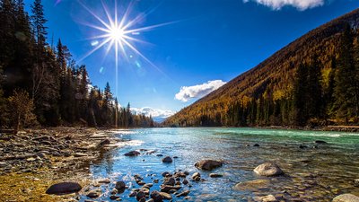 什么生肖与属羊生肖相冲你知道吗？