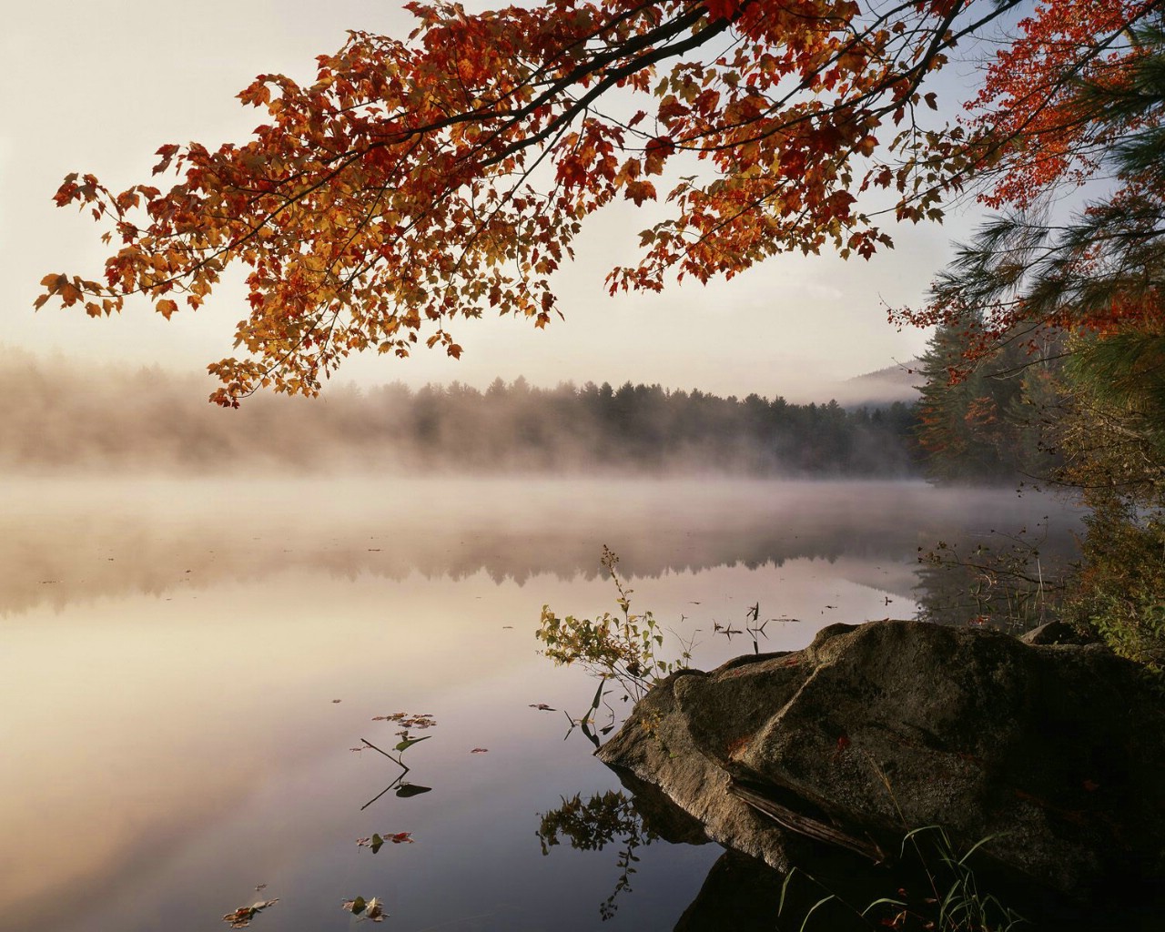 什么生肖与属猴生肖相冲你知道吗？