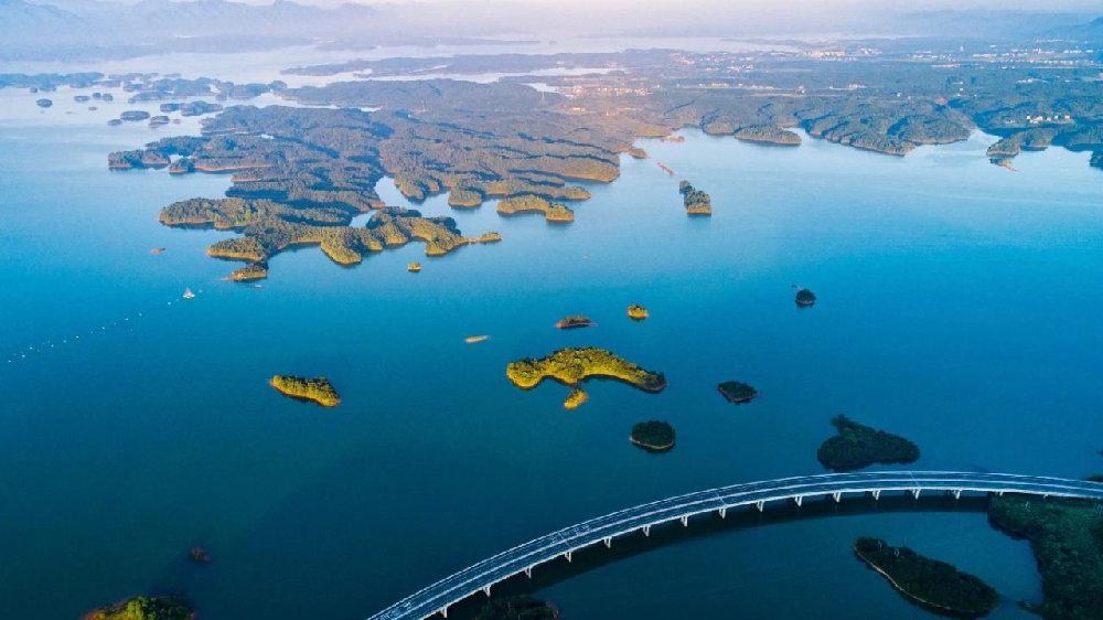 2021年属狗和属猪人婚姻怎么样