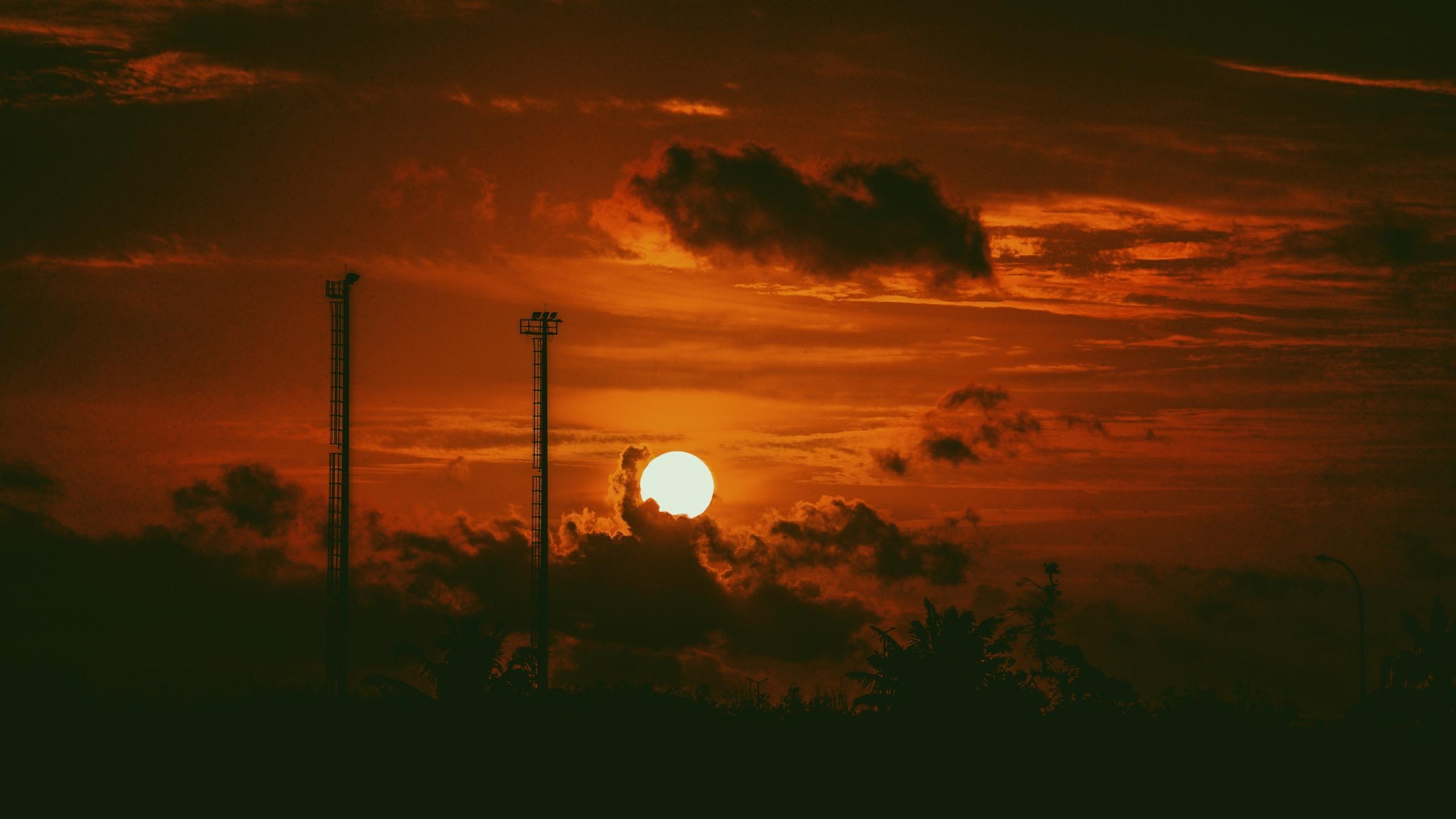 失恋却强装潇洒的生肖