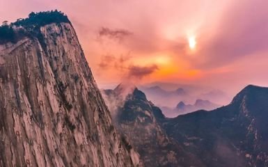 沉着冷静学霸型人才的生肖