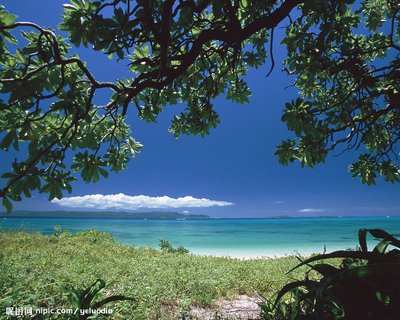 渣男遇到也没辙的三大生肖女