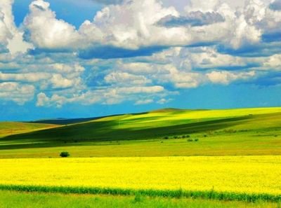 度量很大值得交朋友的生肖