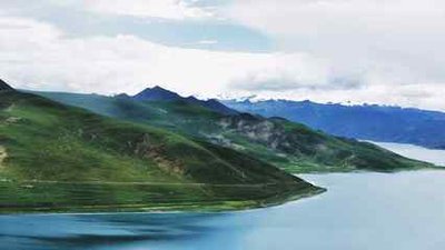 心善钱多的三大生肖