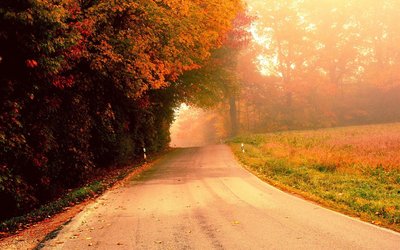 喜欢无病呻吟 总是故作深沉的生肖