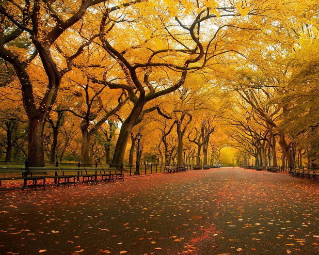 不知好歹经常选择性遗忘他人恩惠的生肖