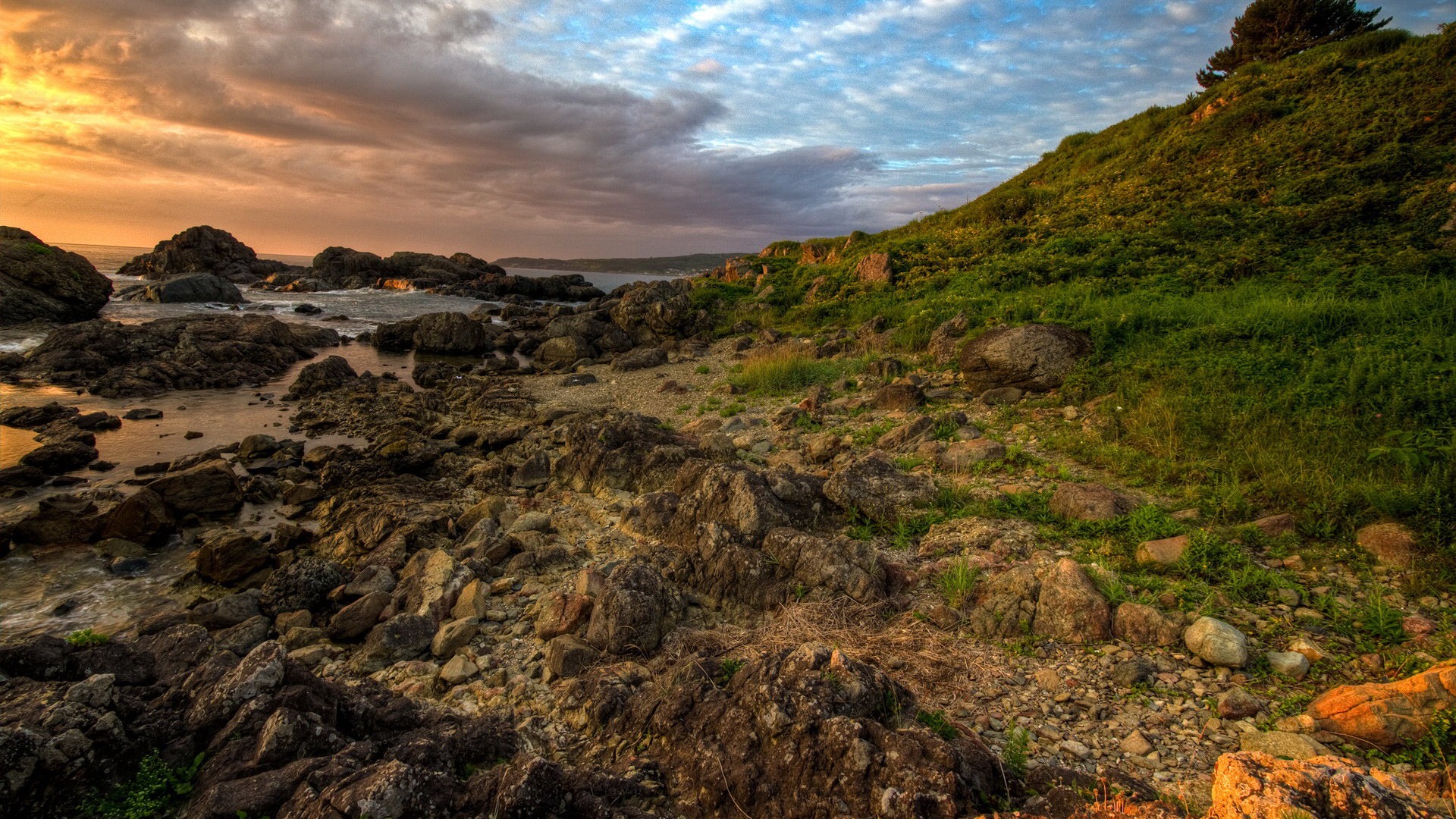 还是单身 容易被剩下来的生肖
