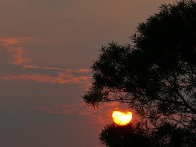 逛街时看什么都想买的生肖女