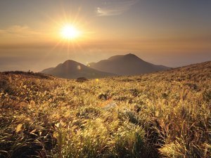 爱和异性搭讪 但撩了人就跑的生肖女