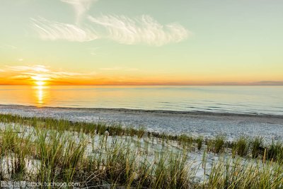 这些生肖让人觉得傻傻的 但心里清楚得很