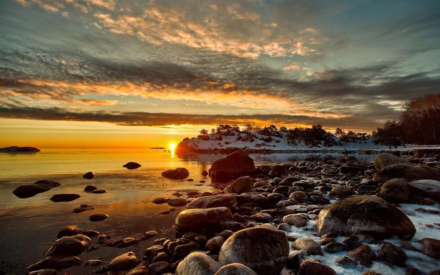 很有可能成为丁克一族的生肖