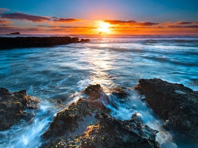 这些生肖的坚韧不拔超乎想象