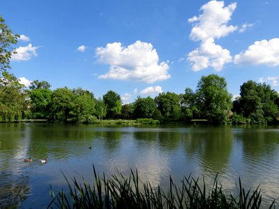 桃花非我所欲 这些生肖快被艳遇烦透了