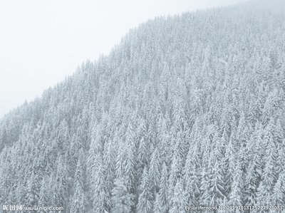 绅士作风 十分尊重女性的生肖男